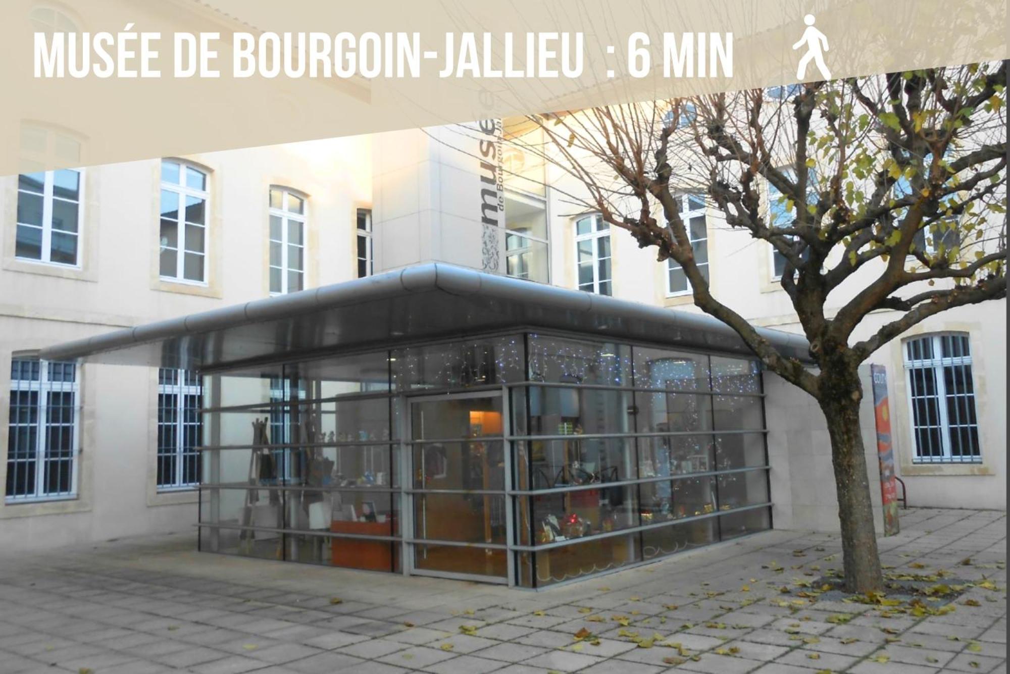 Le Tranchand☆city Center☆wifi Hd Apartment Bourgoin-Jallieu